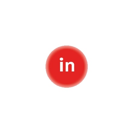 bouton LinkedIn
